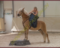 1AMAZONE- 0363
